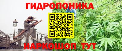 круглые Ноябрьск