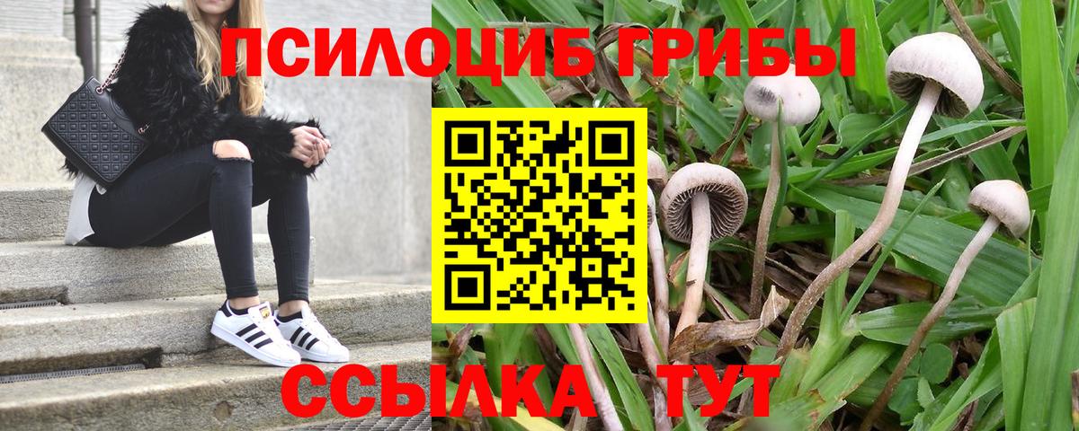 Богородск  Псилоцибиновые грибы Psilocybe  Вход с VPN  где купить наркотик  Галлюциногенные грибы Psilocybine cubensis 